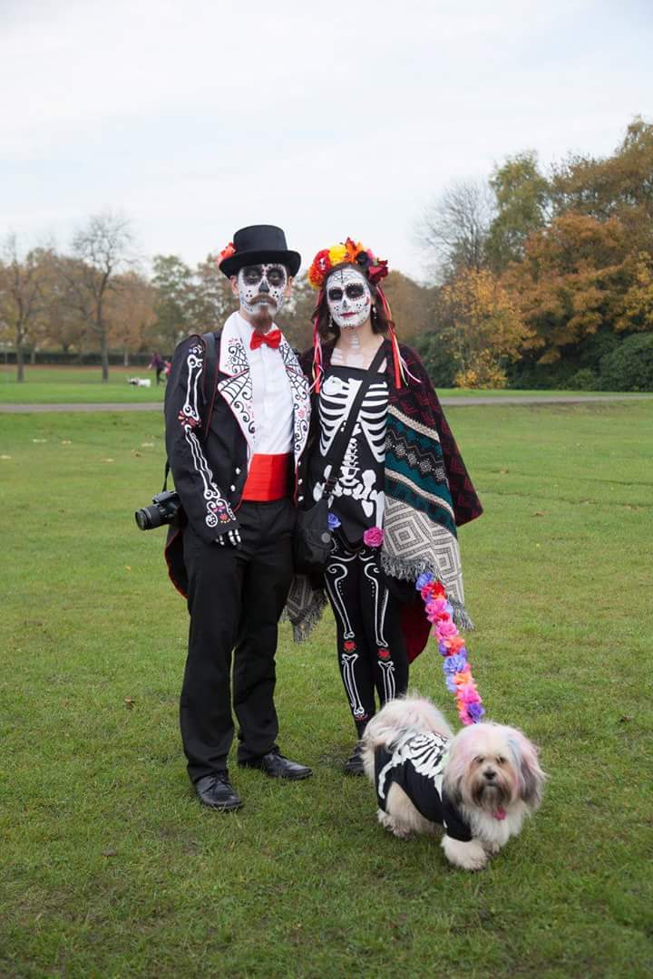 Fun Dog Shows West Midlands Fun Dog Shows West Midlands