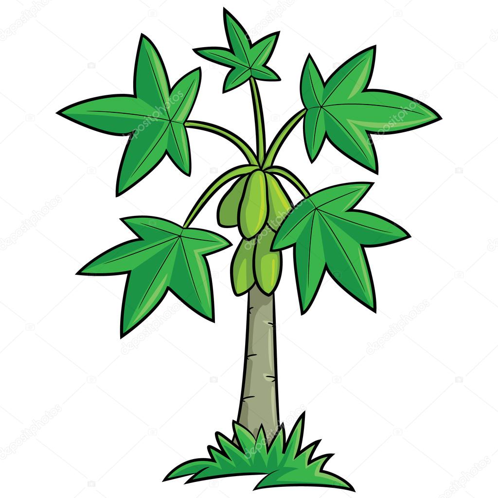 How to Save Papaya Tree? Short Stories 110
