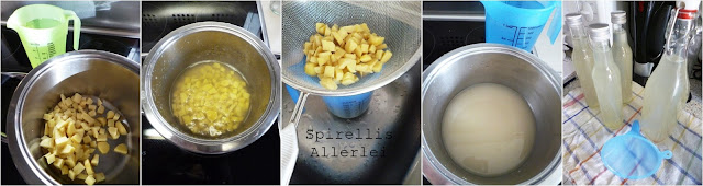 Spirellis Allerlei - Ingwersirup DIY Herstellung