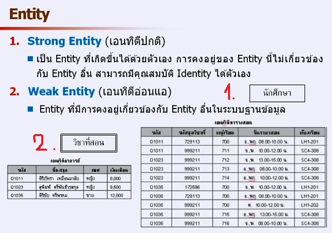 Data Baby: Database System-E-R Model