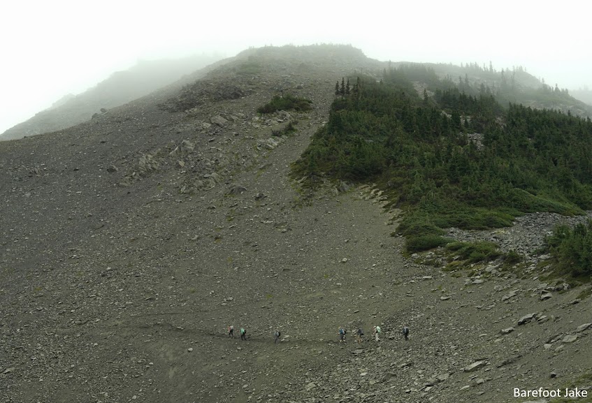 Grey wolf pass
