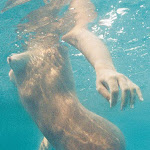 Naara e Lorraine revista playboy 10