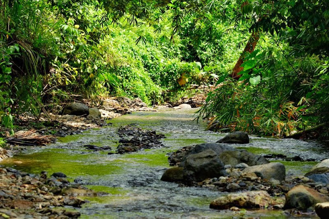Top 10 Tempat Wisata Di Gorontalo Terpopuler Provinsi Gorontalo mempunyai tempat wisata pantai dan sejarah yang sangat menarik Top 10 Tempat Wisata Di Gorontalo Terpopuler
