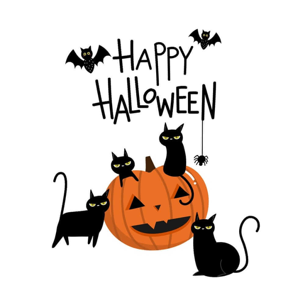 Funny Halloween Pictures Images And Pics Free Download