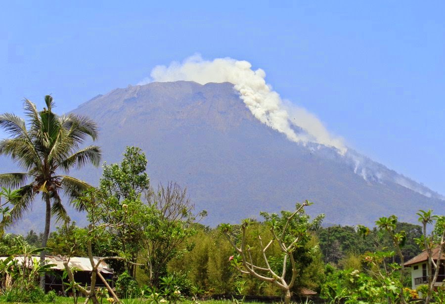 Gunung Agung Terbakar Teropong Amlapura Kepala Bpbd Karangasem Ida Ketut