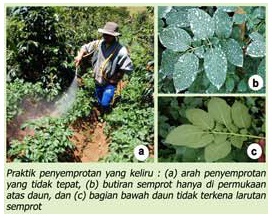 Teknik Penggunaan Pestisida Yang Baik Dan Benar Teknik Penggunaan Pestisida Yang Baik Dan Benar