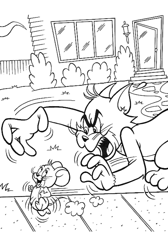 imagens Tom e Jerry brigando pintar Desenhos Preto e Branco Tom e Jerry brigando Colorir