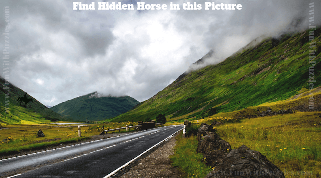 This is the picture puzzle in which your challenge is find the hidden horse