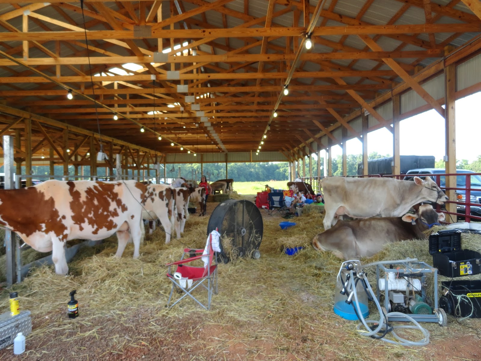 Burley Fields Livestock Center Photographs from the 2013 Southern