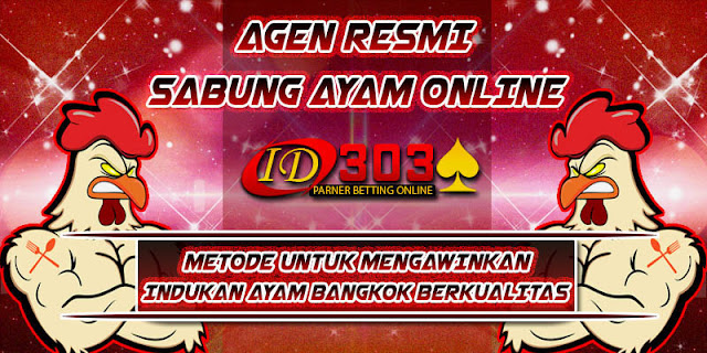 METODE UNTUK MENGAWINKAN INDUKAN AYAM BANGKOK BERKUALITAS sabung ayam online, sabung ayam filipina, sabung ayam pisau, agen sabung ayam online terpercaya, sabung ayam bangkok sampai mati, sabung ayam bangkok, sabung ayam sarawak, sabung ayam toraja, sabung ayam, judi online sabung ayam, adu ayam, s1288 net, s1288, adu ayam bangkok, gambar sabung ayam filipina, ayam pilipin, s128 net, ayam bangkok petarung, cara ternak ayam bangkok, gambar ayam bangkok super, ayam, video ayam bangkok, ternak ayam bangkok, ayam laga bangkok, ayam bangkok, ayam bangkok super, ayam bangkok f1, ayam petarung, jual ayam bangkok, ayam bangkok indonesia, ayam bangkok aduan super, jual beli ayam bangkok, sabung ayam sampai mati, ayam aduan pukul mati, adu ayam bangkok sampai mati, ag s1288 net, sabung, agen s1288, sabung ayam net, as s1288 sabung ayam, s1288 poker, adu ayam bangkok asli, adu ayam bangkok super, adu ayam bangkok youtube, ayam bangkok aduan, ayam aduan. gambar ayam bangkok, gambar ayam kampung, gambar ayam bangkok juara, s128net