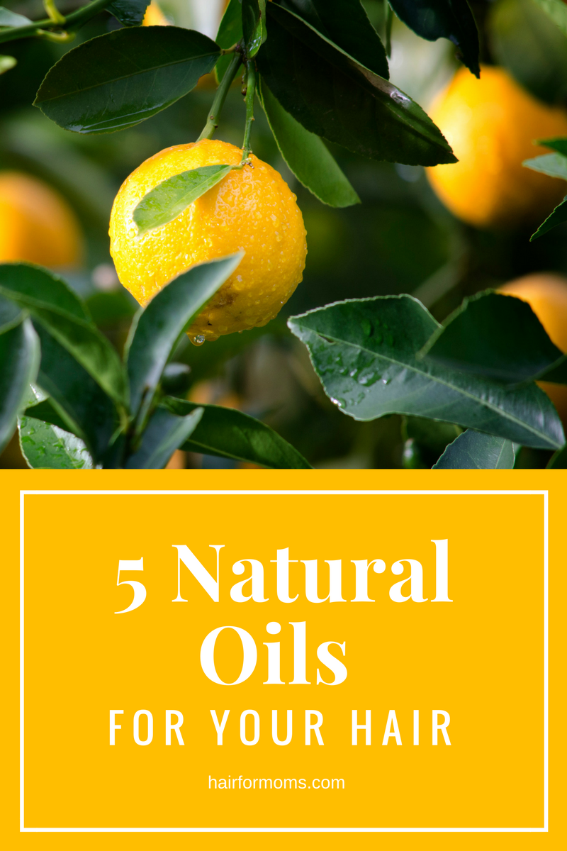 5 Natural Oils For Your Hair Hair For Moms
