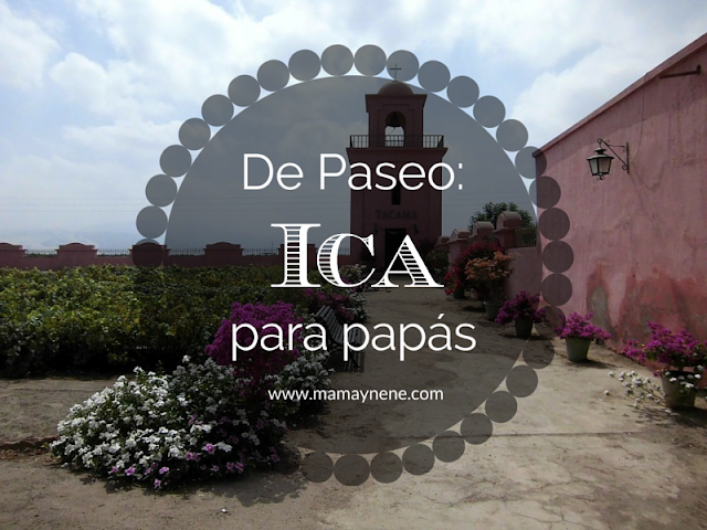 ICA-PERU-VINOS-PASEOS-TOUR-MAMAYNENE
