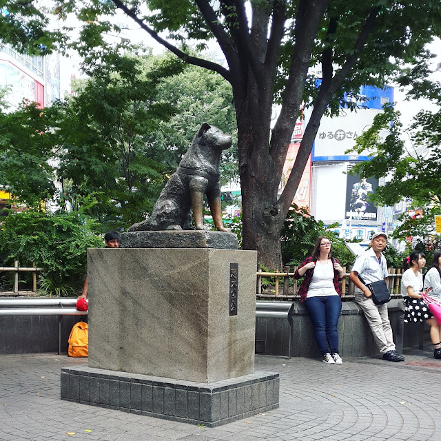 Tokyo day 3 Meiji Jingu shrine, omotesando, Tower Records, Shibuya and Hachiko statue