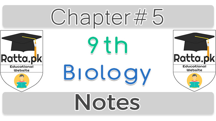 9th Biology Chapter 5 Cell Cycle Notes