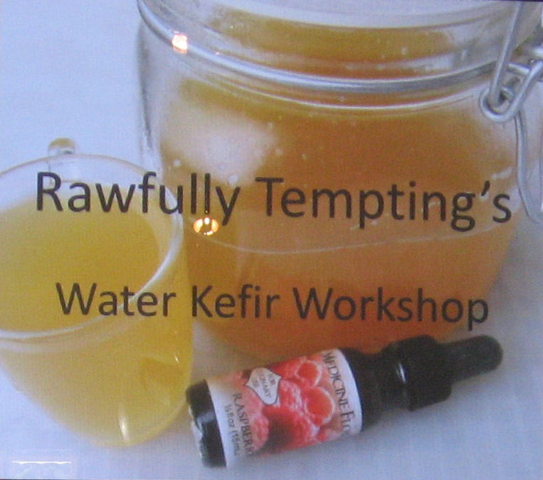 Kefir Starter Grains Whole Foods Kefir Starter Grains Whole Foods