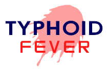 nursing care plan for for typhoid fever definition typhoid fever or 