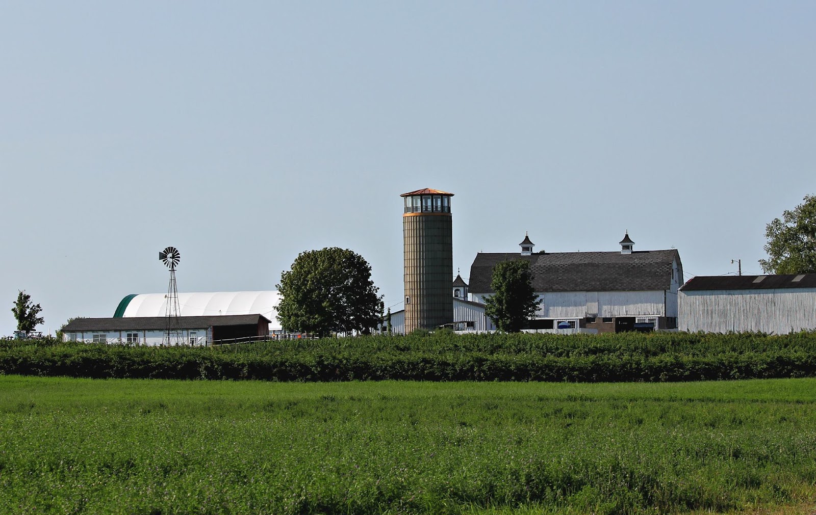 Lookin' Up Wilbert's The Barn Collective