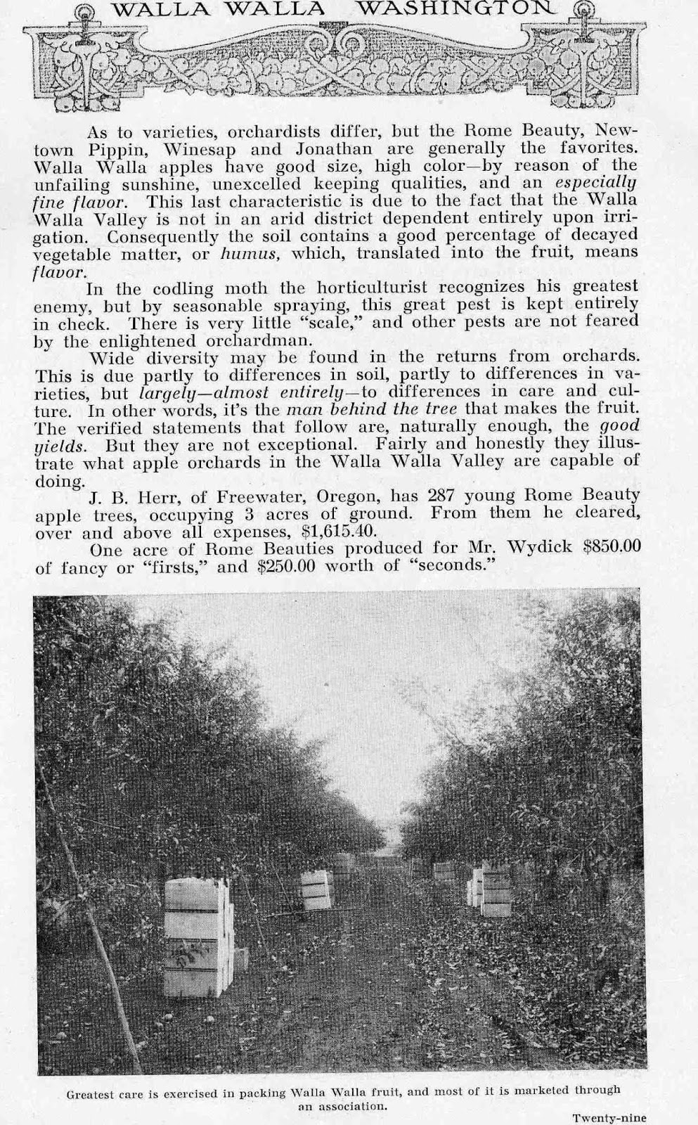 Bygone Walla Walla vintage images of the City and County (and beyond