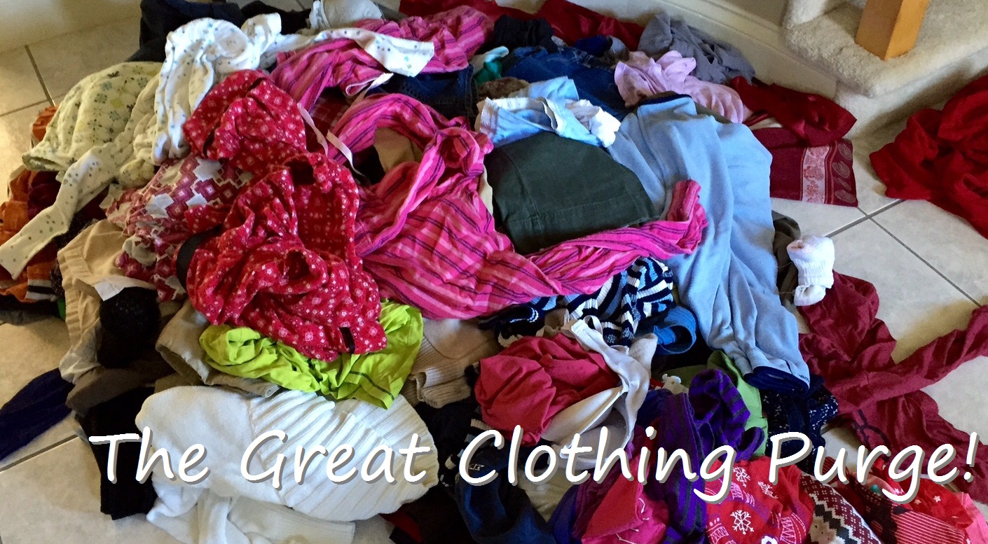 Semiurban Mom The Great Clothing Purge 2015