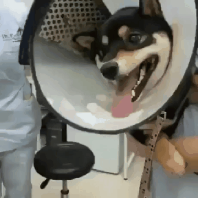 1649ce5ca022a7926.gif
