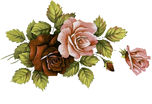 imagen9.gif