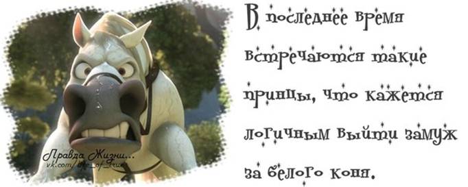 Вышла замуж за коня