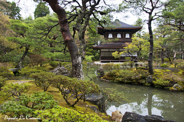 Día 12 - Kyoto (Ginkakuji - Palacio Imperial - Kiyomizu - Gion) - Japón primavera 2016 - 18 días (con bajo presupuesto) (3)