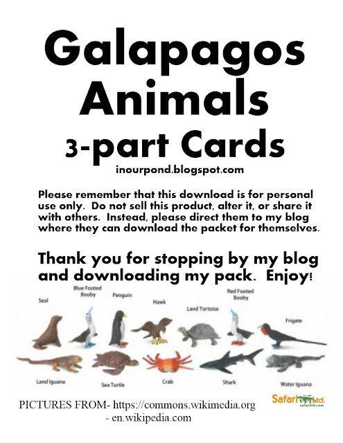 FREE 3-Part Cards for Safari Ltd Galapagos Toob from In Our Pond