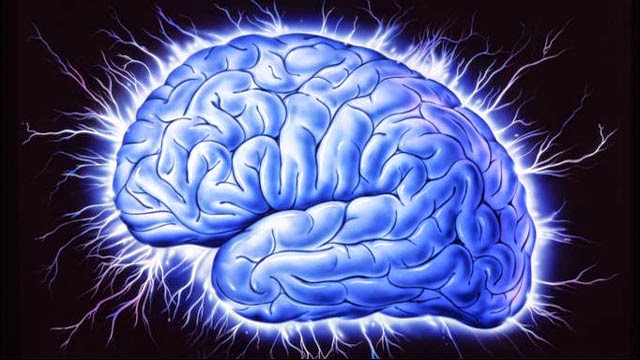 Fakta Unik Tentang Otak Manusia