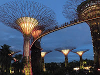 Botanical Gardens Singapore Night