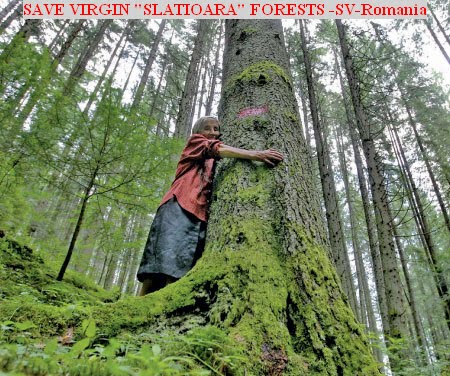 WWF - SLATIOARA - ROMANIA