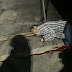 BREAKING: Security Guard In Tarlac City Stabbed To Death