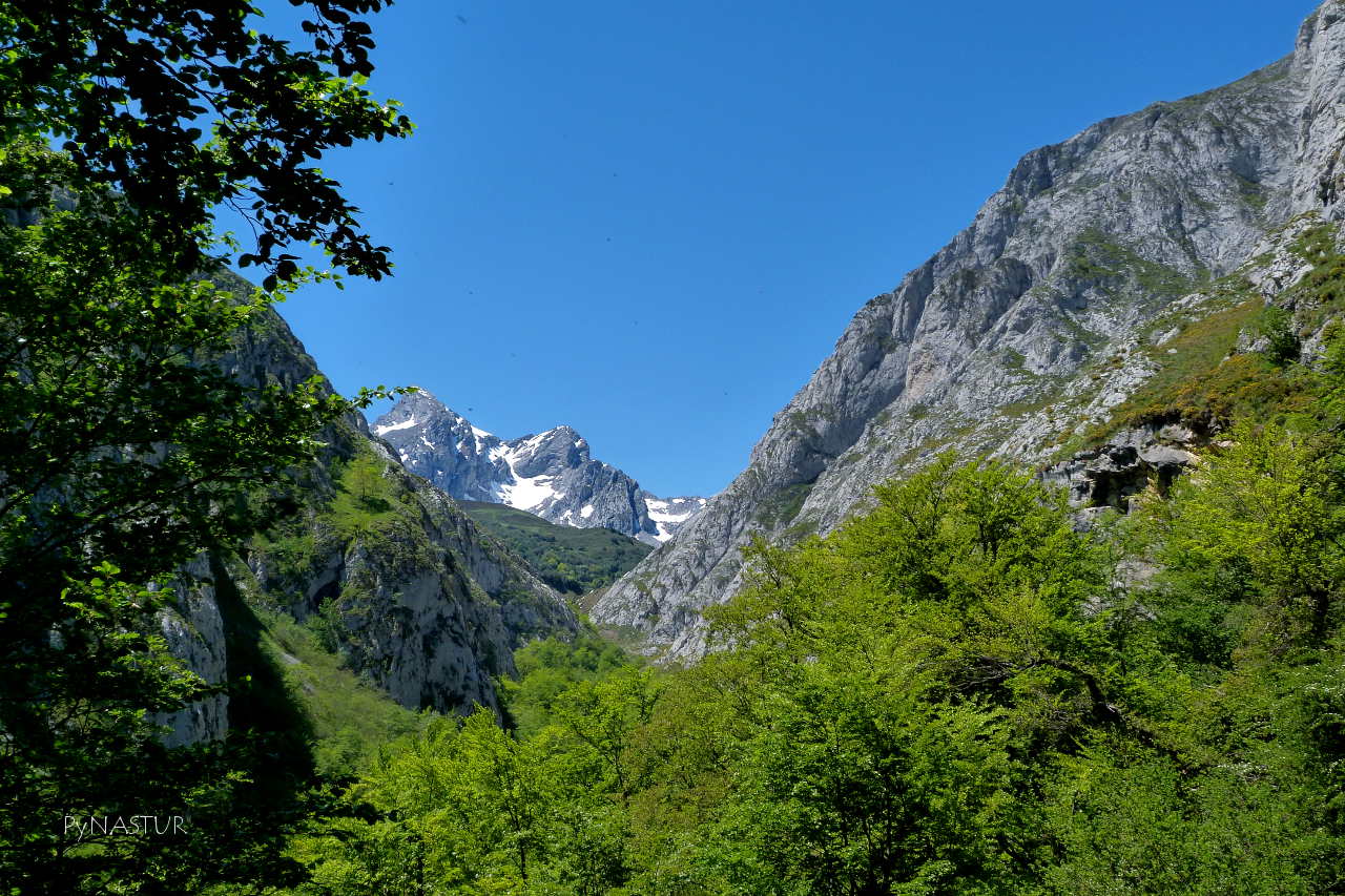La Foz Grande con Los Fontanes al fondo - Quirós - Asturias La Foz Grande con Los Fontanes al fondo - Quirós - Asturias