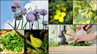 Five Edible Recipe Flowers