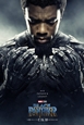 Black Panther Feri Peri Kişisel Blog