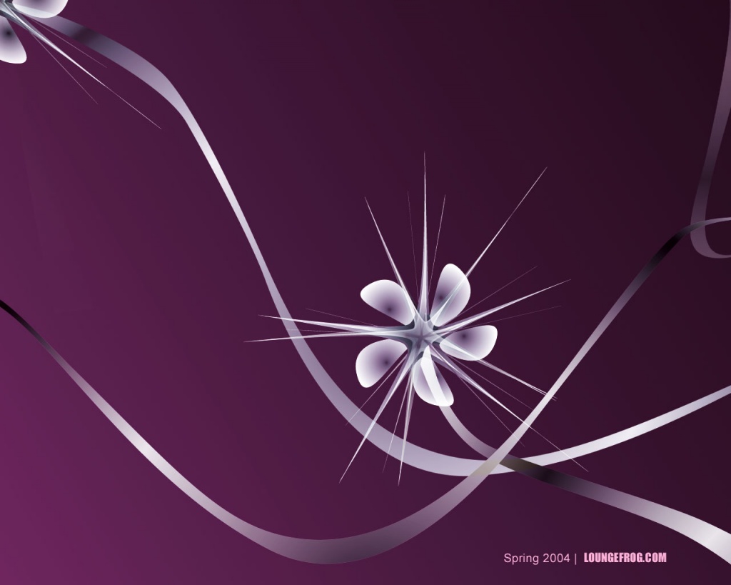 Abstract Wallpapers HD: Abstract Flower Wallpaper