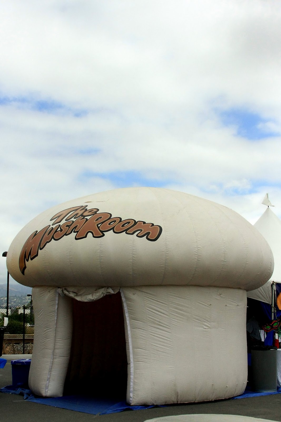 morgan hill mushroom mardi gras festival