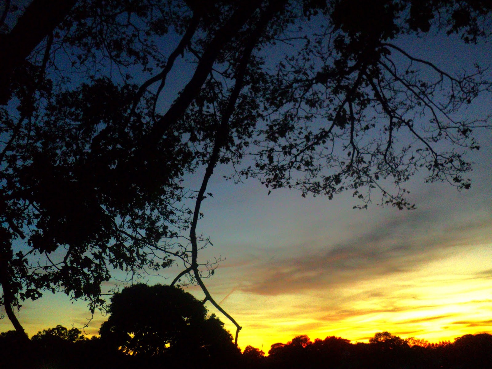 Bill's Photos Sunset (October 15, 2016)