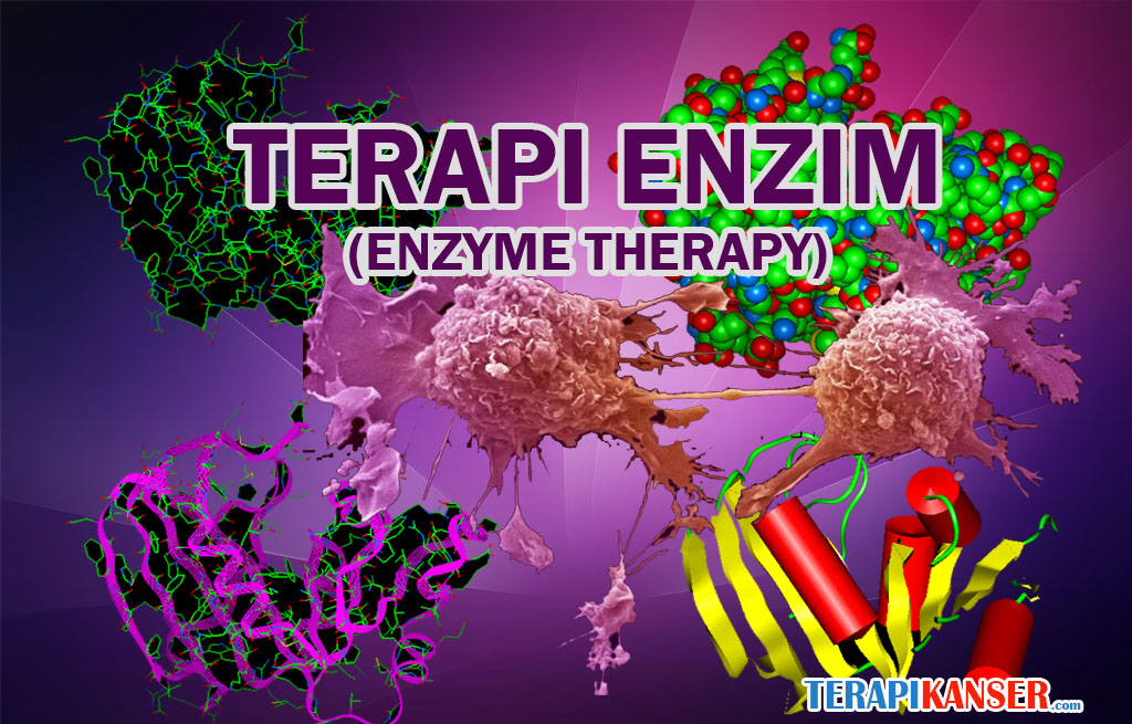 Terapi Enzim (Enzyme Therapy) ~ Terapi Kanser