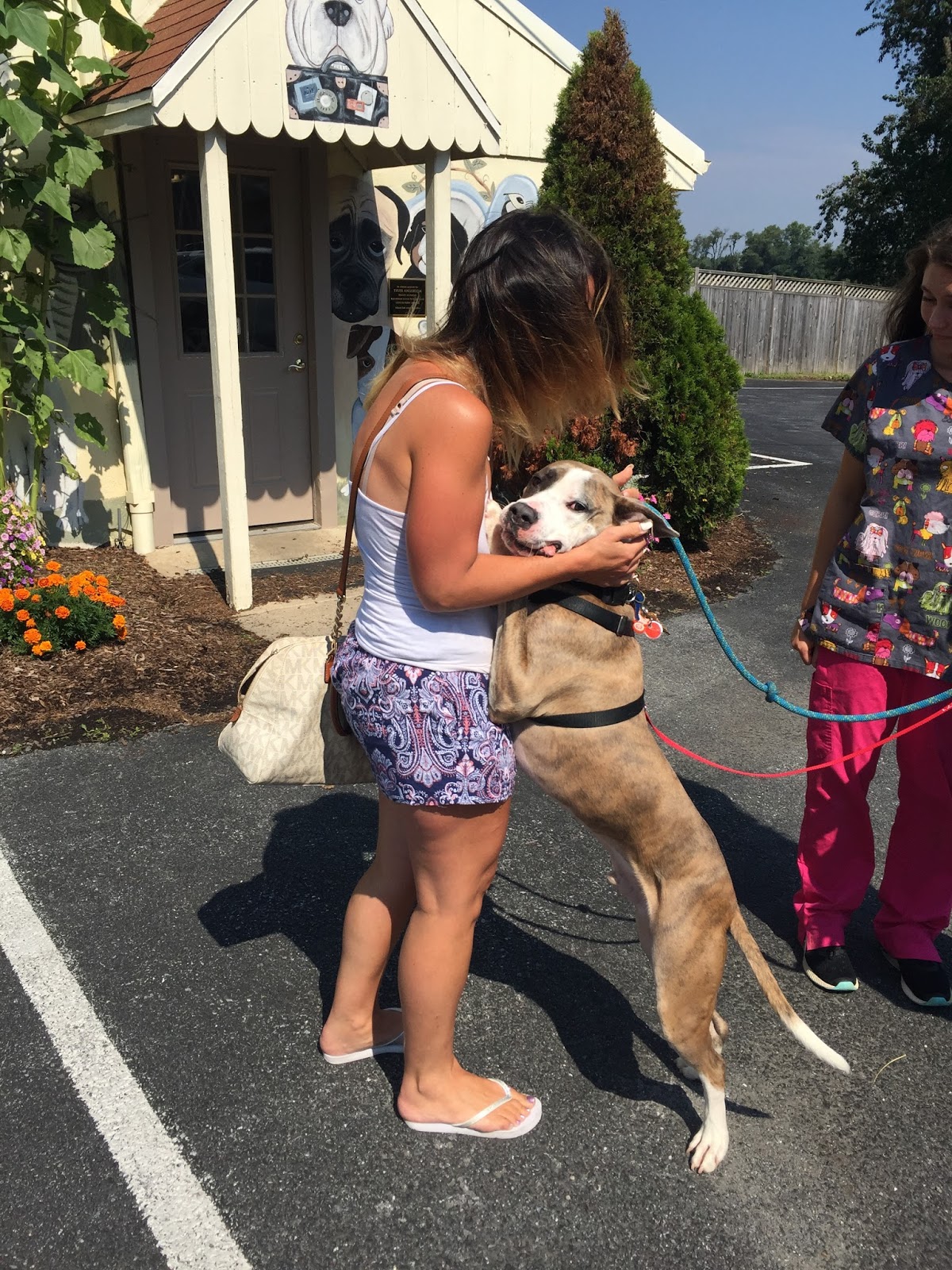 Diary of a RealLife Veterinarian Safe Harbor Vet Style. Finding a