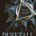 Interview with Christopher Husberg, author of Duskfall