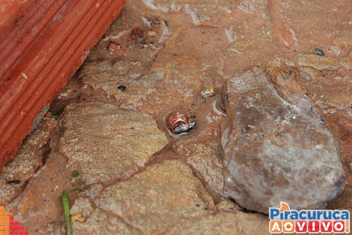 Homem é executado em frente de casa na presença do filho - Imagem 2