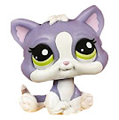 Littlest Pet Shop Small Playset Kitten (#2033) Pet