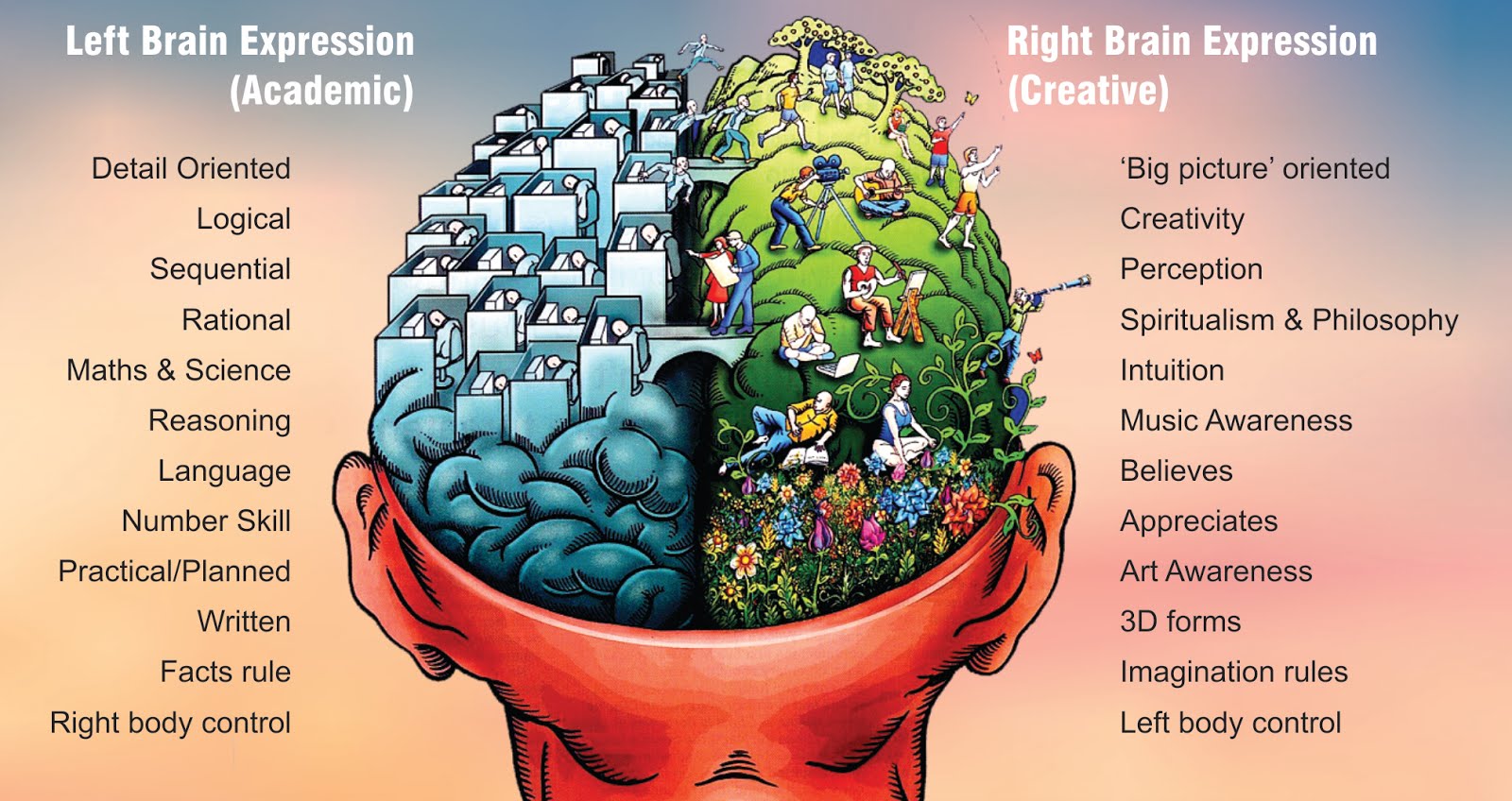 Brain now. Left Brain. Left Brain right Brain. Left right Side of Brain. Left and right Brain functions.