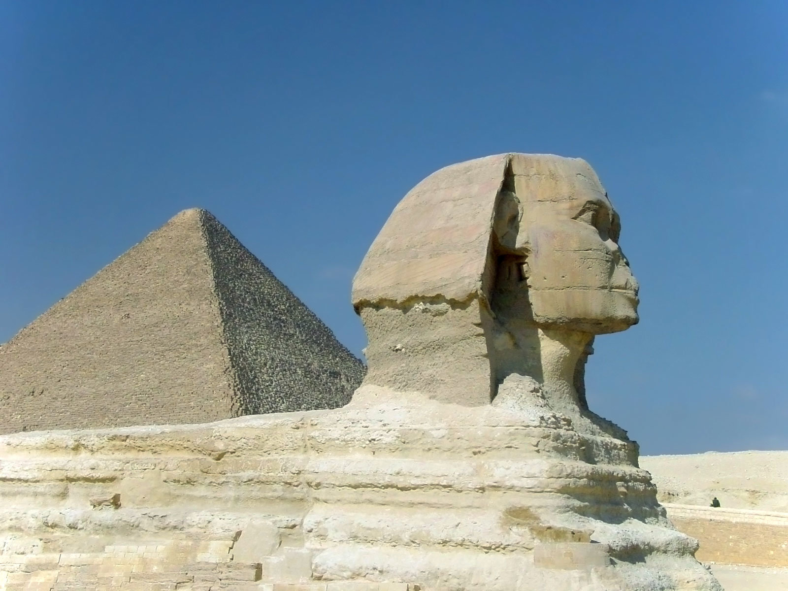 Сфинкс египет сбоку. Сфинксы египетские статуи. Сфинкс с отбитым носом. Сфинкса 13 7 1 2. Сфинкс египет.