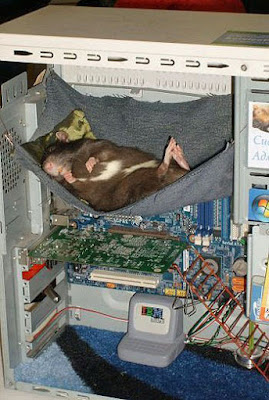 Computer Maus schläft Baby mit Computer beruhigen