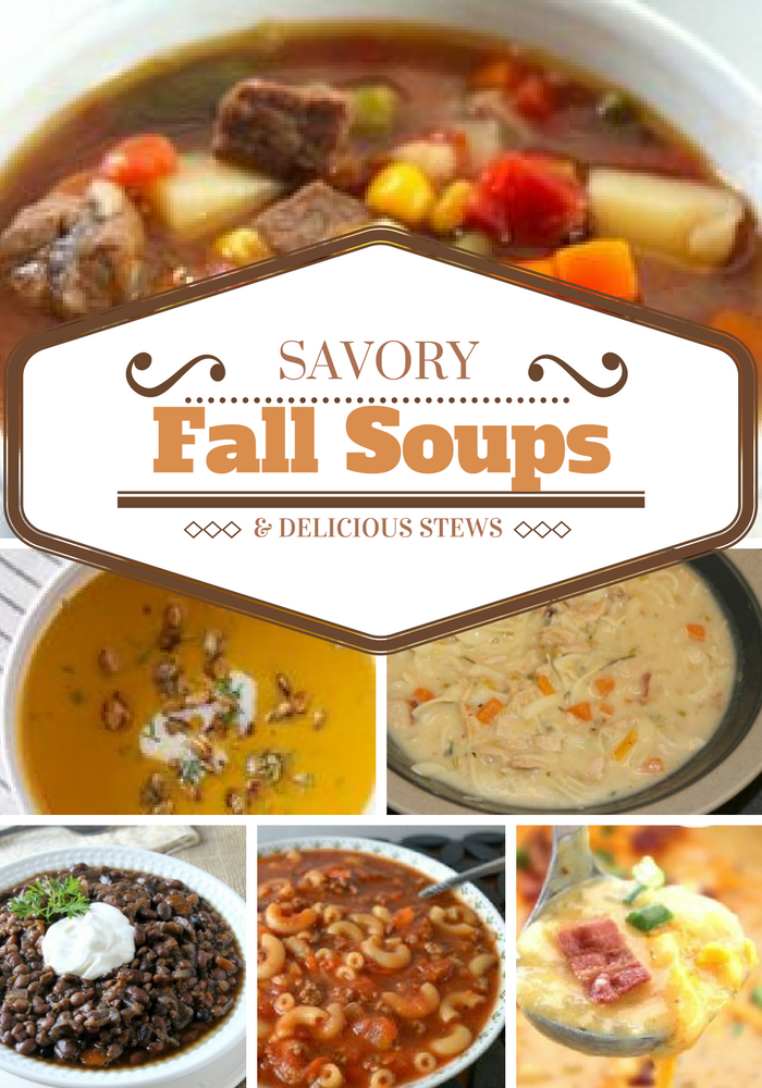 15 Savory Fall Soups and Delicious Stews - A Little Desert Apartment