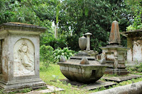 kebun raya bogor
