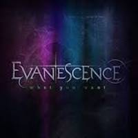 Free Download Lagu Evanescence - What You Want.Mp3