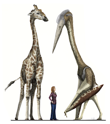 human pterosaurs giant giraffe pterosaur canadian quetzalcoatlus arambourgiania scale azhdarchid northropi pterosaurus musings clumsy palaeontologist witton mark